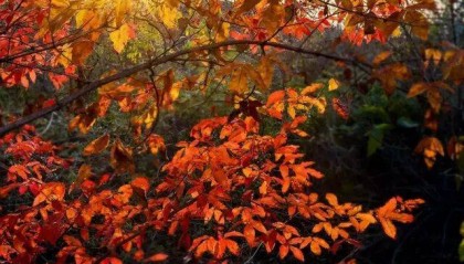 什么是快乐？什么是幸福？