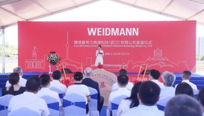 全球巨头，落子武汉