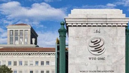 加拿大自食苦果，全球160多个国家收到中方通知，加拿大政府后悔也来不及了