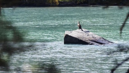 爆炸已致多人伤亡！提醒中国公民增强安全意识【新闻早知道】