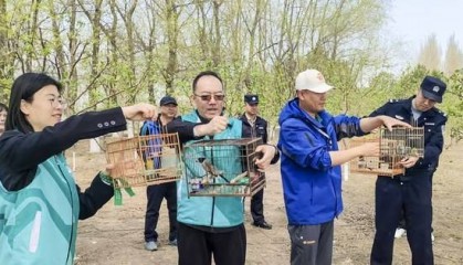 齐齐哈尔多方联动放飞野生保护鸟类