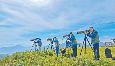 广东赵伯今年三赴湖南蓝山观鸟（民生一线·银发经济促消费）