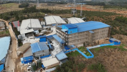 蓝山生猪“出湘”又“出海”