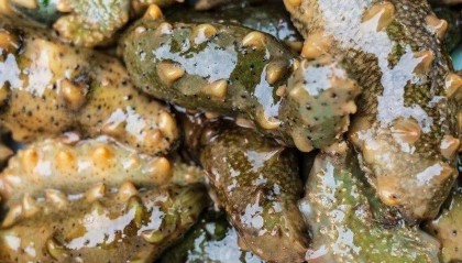 烟台年 烟台味——全家福