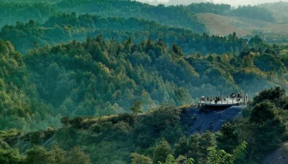 畅游衡阳蒸湘区，解锁黄金周专属体验