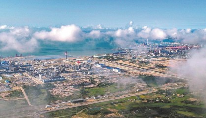 广东湛江：向海图强，挺起“产业湛江”硬脊梁