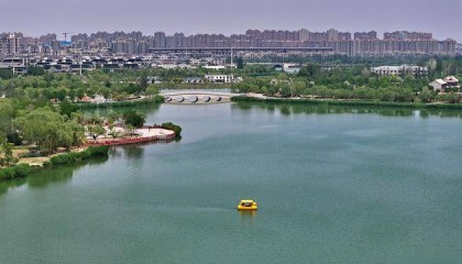 银川：夏日“塞上湖城”美如画