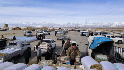 青海德令哈：科技让戈壁荒地变饲草基地