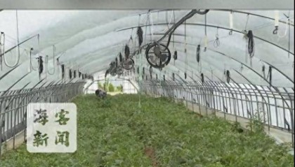 韩国农产品价格持续上涨，买一个西瓜需花费约173元人民币，大白菜一颗近32元