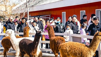 “五一”假期齐齐哈尔龙沙动植物园人气旺