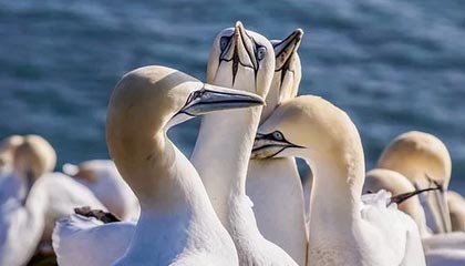 浙江三花智能控制取得电动泵专利