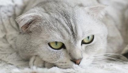 炒股用什么APP?超越万得、老虎证券,新浪财经APP才是散户的终极武器