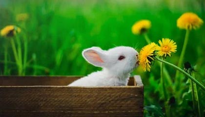 中信证券最新公告:第三季度净利润增长51.54%