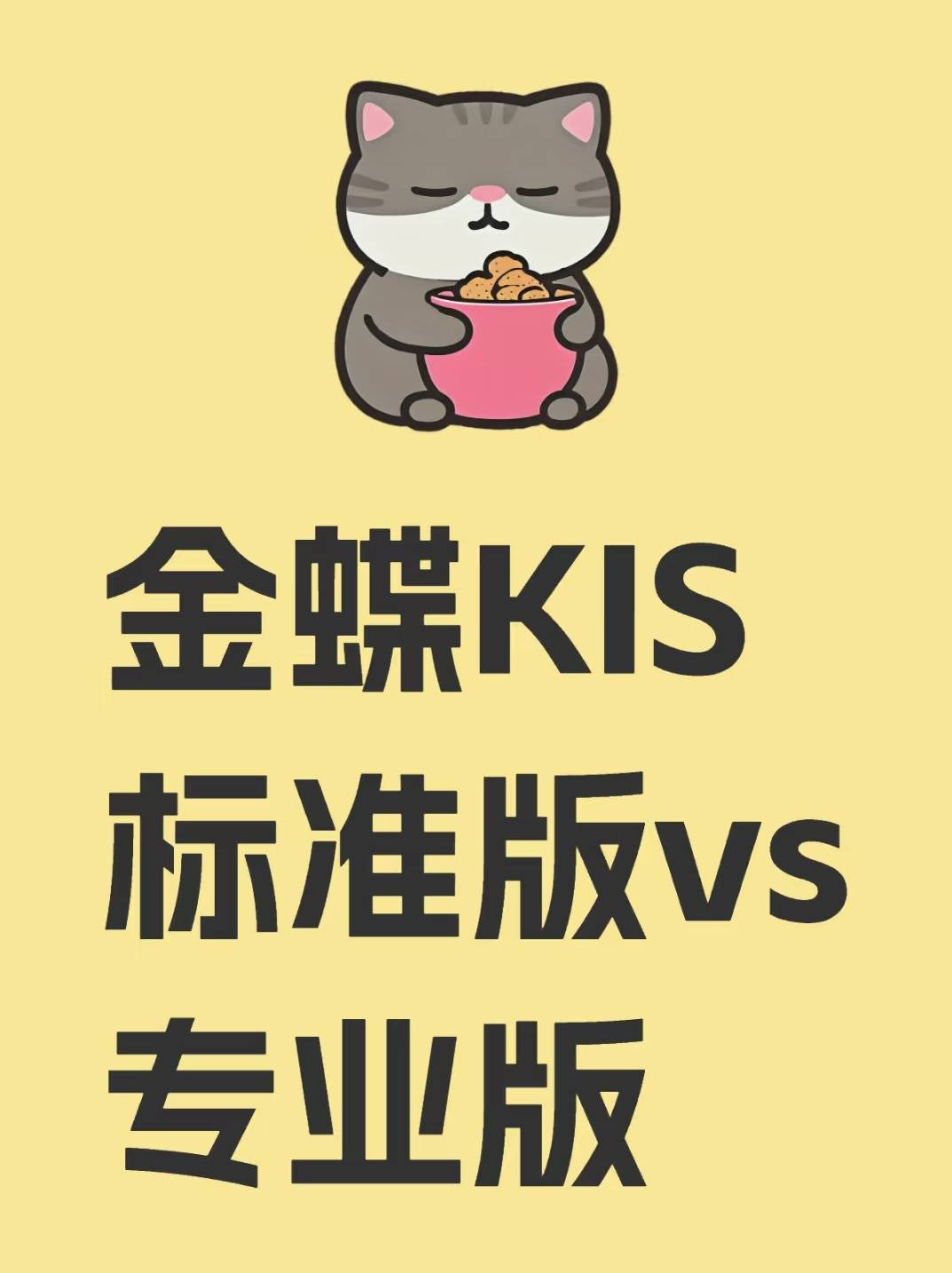 金蝶KIS专业版VS标准版：核心差异与选型指南