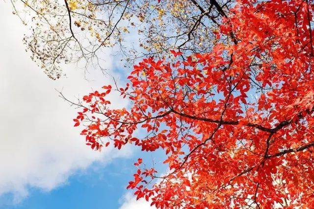 什么是快乐?什么是幸福?