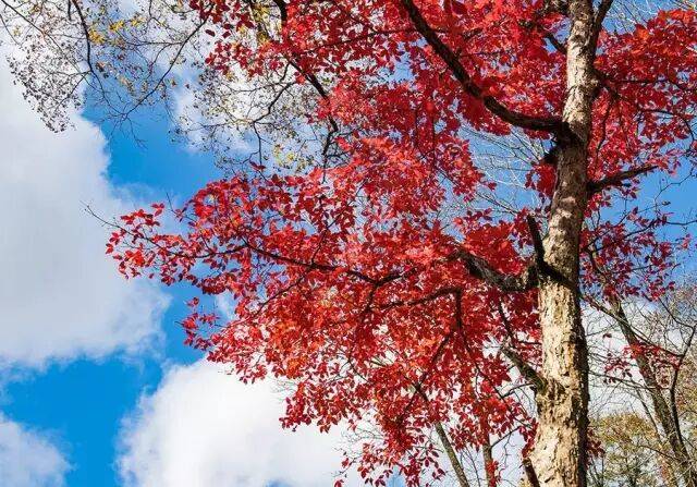 什么是快乐?什么是幸福?