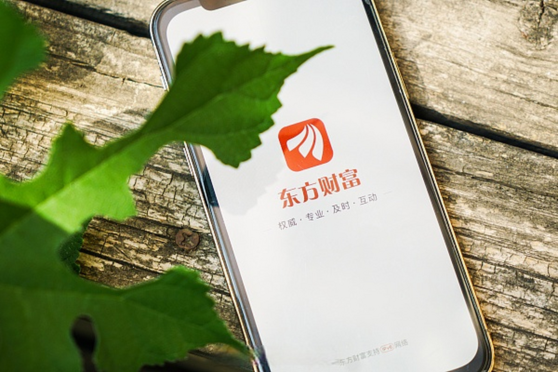 东方财富证券招聘(东方财富证券招聘本科)